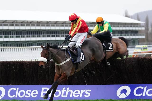 Coole Cody (left) and Midnight Shadow (right) jump the last in the Racing Post Gold Cup at Cheltenham.
