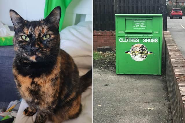 Martha was dumped in a charity collection bin