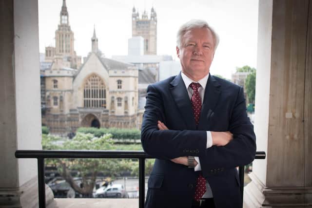Haltemprice and Howden MP David Davis is a former Brexit Secretary.