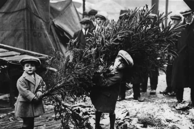 circa 1920:  Two little boys dragging home their Christmas tree after choosing it at London's Covent Garden Market.  (Photo by Keystone/Getty Images)