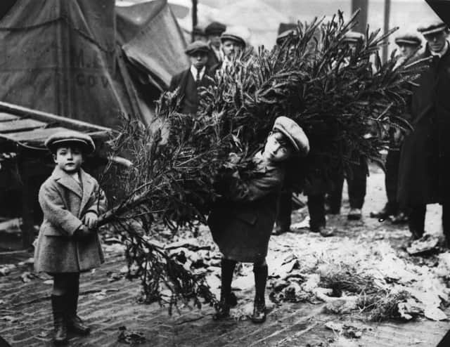 circa 1920:  Two little boys dragging home their Christmas tree after choosing it at London's Covent Garden Market.  (Photo by Keystone/Getty Images)