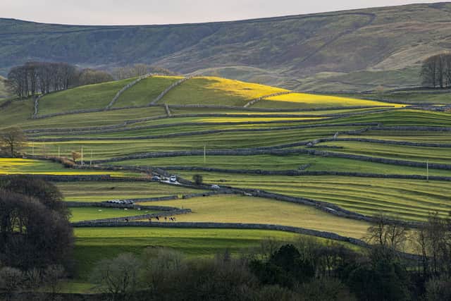 What is your view on the management of the Yorkshire Dales?