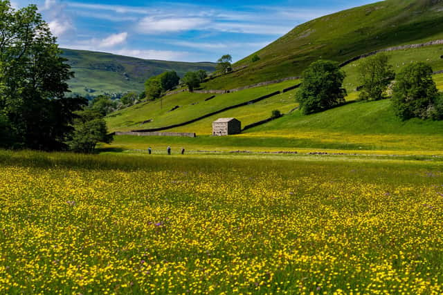 A meadow field of wildfowers near Muker at the western end of Swaledale in North Yorkshire. (James Hardisty).