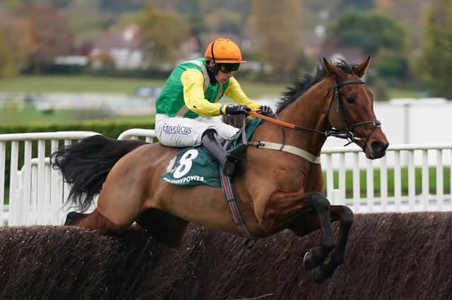 Sue Smith has opted not to run stable star Midnight Shadow - pictured winning Cheltenham's prestigious Paddy Power Gold Cup under Ryan Mania -  in Kempton's King George VI Chase on Boxing Day.