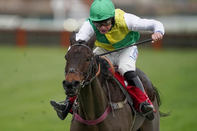 Ladbrokes Trophy winner Cloudy Glen heads the entries for the Rowland Meyrick Chase at Wetherby on Boxing Day.