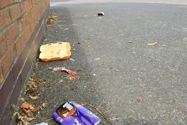 Should there be a national campaign against litter in 2022 led by children concerned about the environment? Columnist Andrew Vine makes the suggestion.