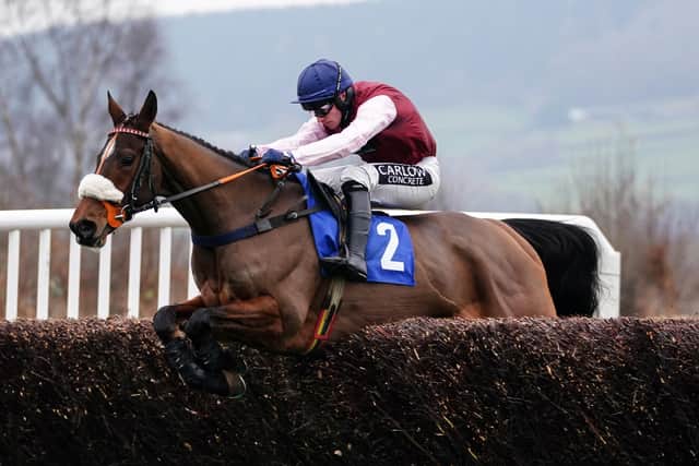Scene Not Herd ridden by Johnny Burke clear a fence before going on to win the G.C.Rickards Ltd Novices' Limited Handicap Chase at Ludlow yesterday.