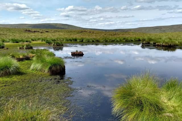 Peatlands in Yorkshire are in the process of being restored.
