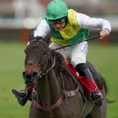 This was the Charlie Deutsch-ridden Cloudy Glen winning the Ladbrokes Trophy at Newbury for trainer Venetia Williams in the familiar colours of the late Trevor Hemmings.