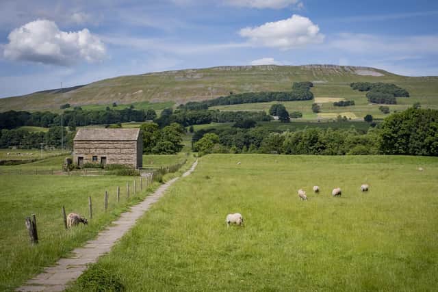 The Yorkshire Dales, image by Marisa Cashill