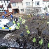 The height of the tree-felling dispute saw dozens of police officers and private security guards supporting the council's controversial operations.