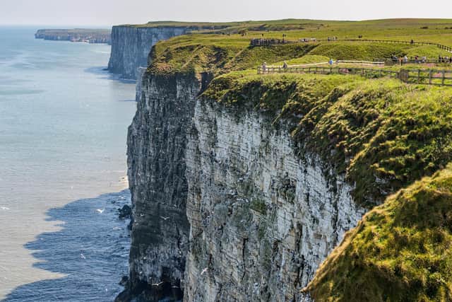 RSPB Bempton Cliffs, near Bridlington, which is home to around half a million seabirds between March and October Picture: James Hardisty