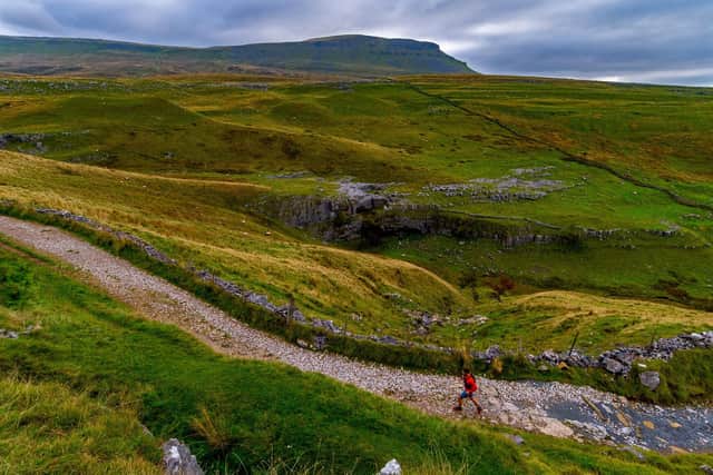 A runner takes an early morning climb up a track from the rural village of Horton-In-Ribblesdale in the heart of the Yorkshire Dales, with a backdrop of Pen-y-ghent. Picture: James Hardisty.