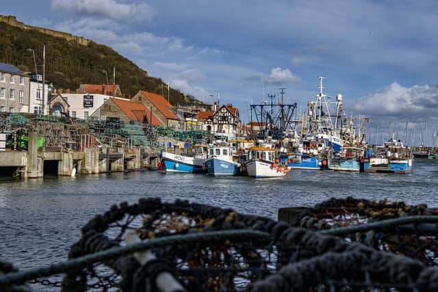 Fishing boats moored in Scarborough harbour. Picture: Tony Johnson.