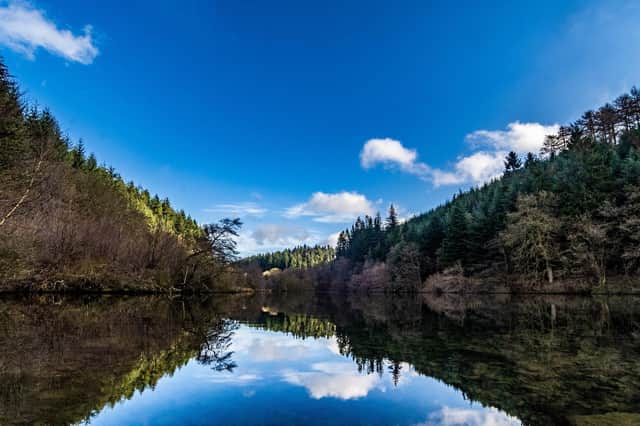 Dalby Forest in the North York Moors National Park. Staindale Lake - Conservation Area. Picture: James Hardisty.