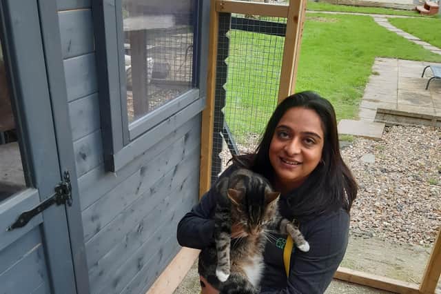 Poonam with a very friendly cat