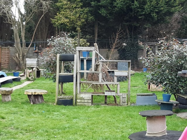 The cats have a very big playground