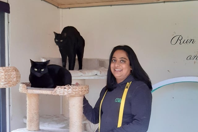 The sanctuary takes care of a lot of black cats