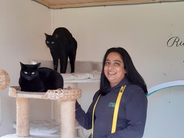 The sanctuary takes care of a lot of black cats