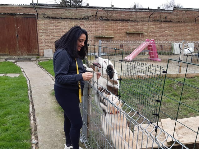 Poonam getting all the attention