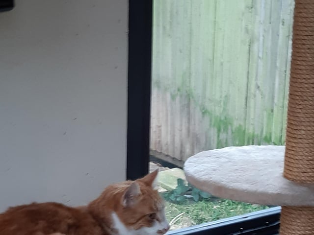 The cats love the warmth of their purpose built bedroom
