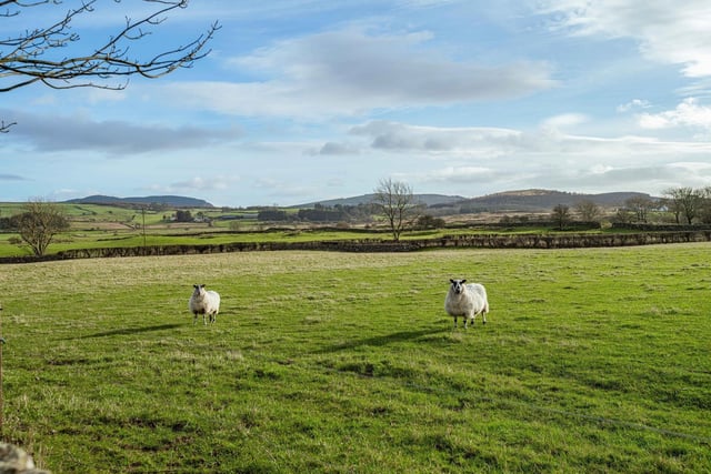 Lower Porterbelly Farm. Image: www.cdrural.co.uk