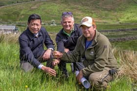 ‘Phạm Hồng Thái, Alan Hulme and Alec Pue inspect a birch sapling on the Snaizeholme Estate’.