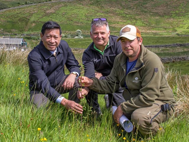 ‘Phạm Hồng Thái, Alan Hulme and Alec Pue inspect a birch sapling on the Snaizeholme Estate’.