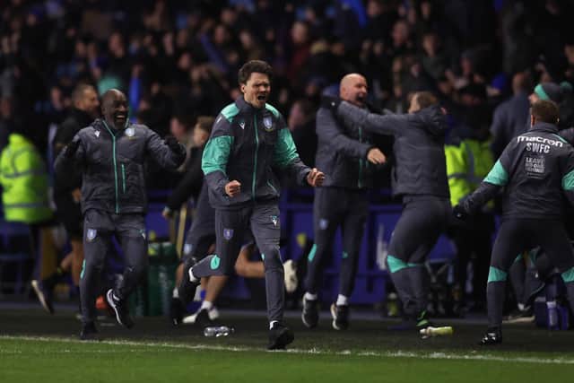 Danny Rohl, centre, and the Sheffield Wednesday bench erupt after Anthony Musaba scores a late winner against Queens Park Rangers  (Picture: Nathan Stirk/Getty Images)