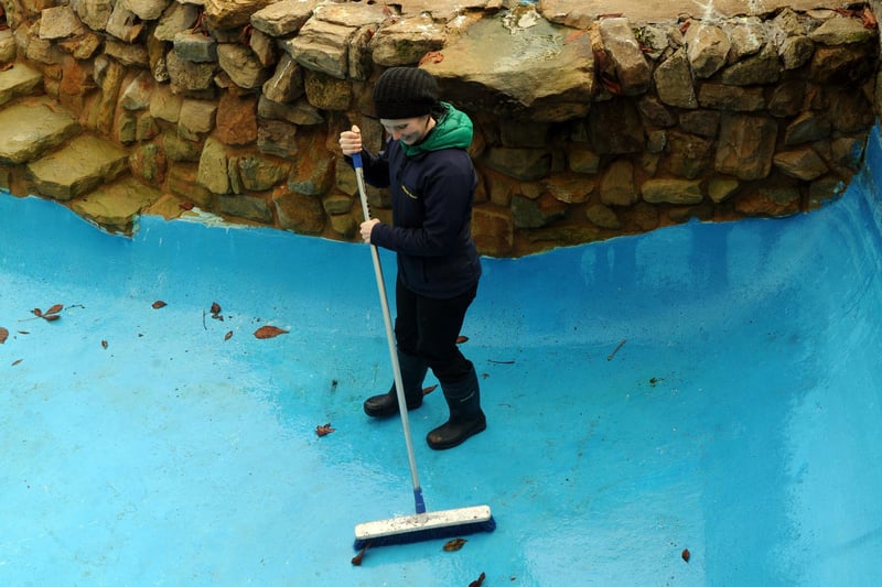 Lisa Bath the Penguin keeper at the Harewood House bird garden  cleaning out one of the pools in the Humboult penguins enclosure in 2014