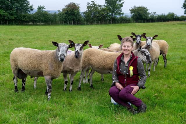 Diane Stenton sheep secretary for Thornton le Dale Show