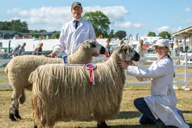 Kieran and Giles Horner, Teeswater sheep breeders, showing at the Great Yorkshire Show last year. PIC:Jonathan Gawthorpe