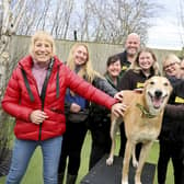 Jake the Lurcher on adoption day with friends from Dogs Trust