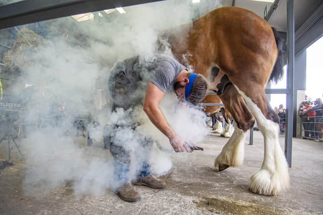Many people are turning to less frequent physiotherapy appointments, leaving longer gaps between shoeing / trimming and some are cutting back on saddle-fitting professionals in ways to cut costs associated with horse ownership.