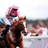 WINNER: Live In The Dream ridden by jockey Sean Kirrane wins the Coolmore Wootton Bassett Nunthorpe Stakes on day three of the Sky Bet Ebor Festival at York Racecourse. Picture: Simon Marper/PA