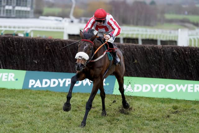 Double up: Sam Twiston-Davies riding The Real Whacker clear the last to win The Paddy Power Novices' Chase at Cheltenham Racecourse on New Year's Day, the Yorkshire horse's second win of the season at Prestbury Park. Can he make it three on Wednesday?