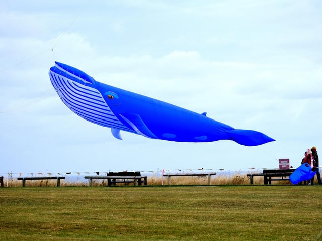 Blue whale kite