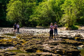 Aysgarth Falls, a popular tourist attraction for 200 years. (Pic credit: James Hardisty)