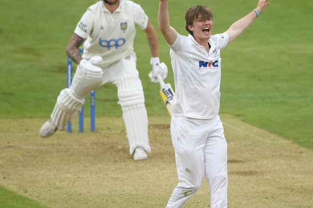 George Hill traps Brydon Carse lbw on his way to a four-wicket haul. Photo by Stu Forster/Getty Images.