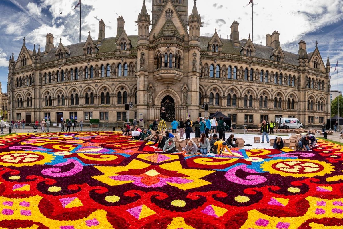 In pictures: Bradford flower carpet uses 333,000 dahlias in UK first