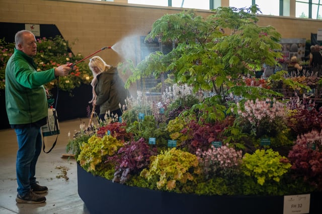 Final touches are made to displays during staging day preparation for the Spring Flower Show. (Photo by Ian Forsyth/Getty Images)