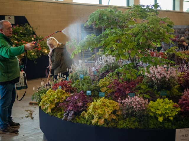 Final touches are made to displays during staging day preparation for the Spring Flower Show. (Photo by Ian Forsyth/Getty Images)