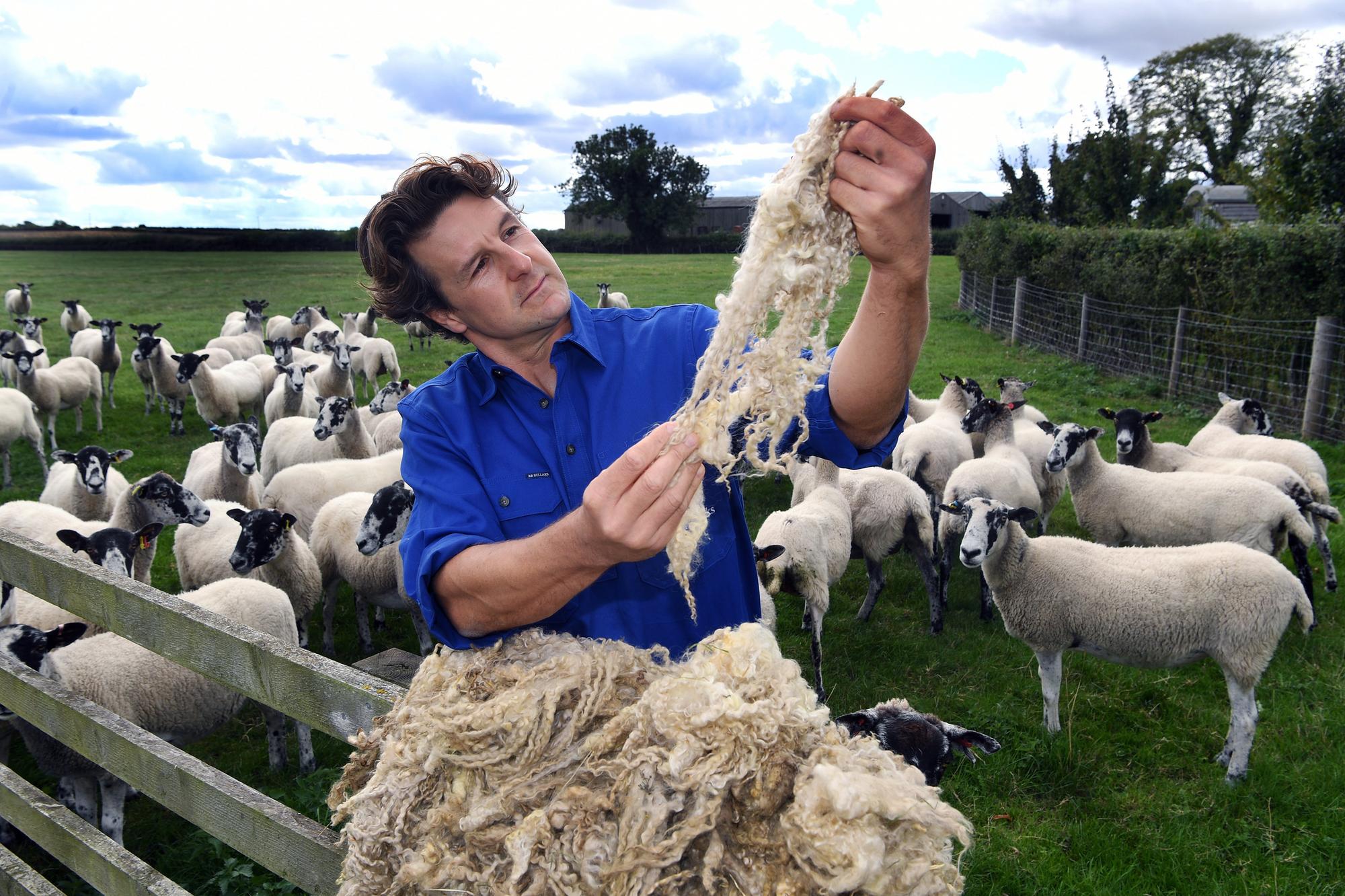 Hornington Manor: The Yorkshire farm producing sustainable mattresses