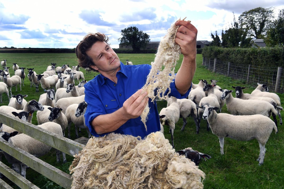 Hornington Manor: The Yorkshire farm producing sustainable mattresses
