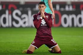 FULHAM BOUND:  Torino midfielder Sasa Lukic