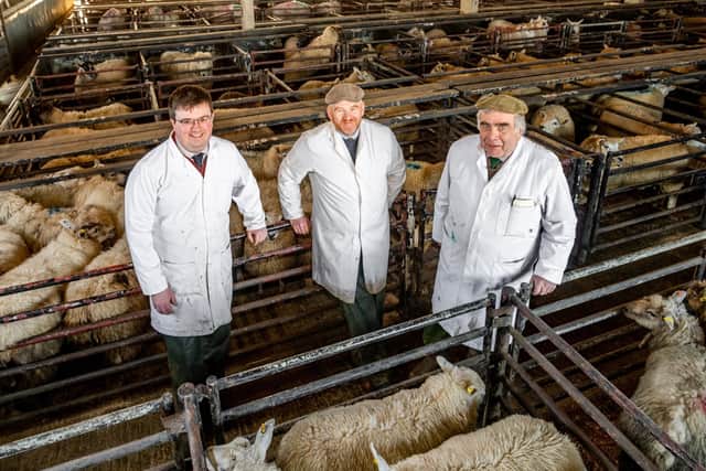 Auctioneers James Buckton,  Phil Mortimer and  Ralph Ward at Hull livestock market