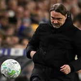 TOUGH TO TAKE: Leeds United manager Daniel Farke (Image: Oli SCARFF / AFP via Getty Images)
