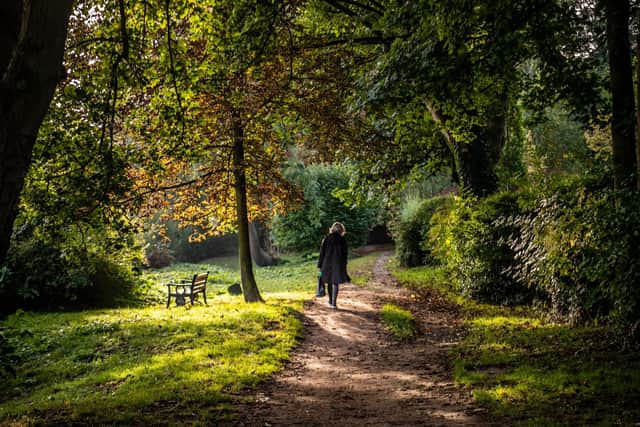 A lady walks along the river bank which is covered by trees at Boston Spa.