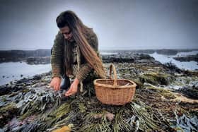 Lisa Cutcliffe collecting sugar kelp, oarweed, sea spaghetti, dulse & pepper dulse