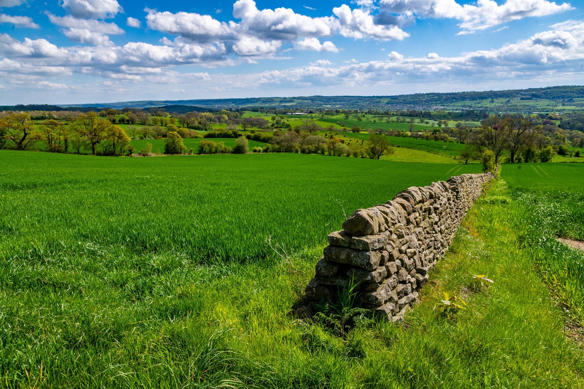 How Sir Keir Starmer’s relationship with the countryside turned sour and toxic - Tim Bonner